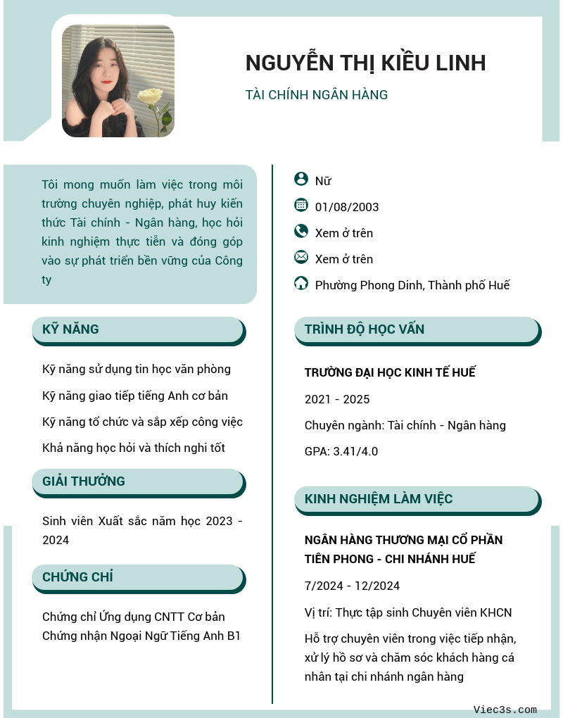 CV ứng viên