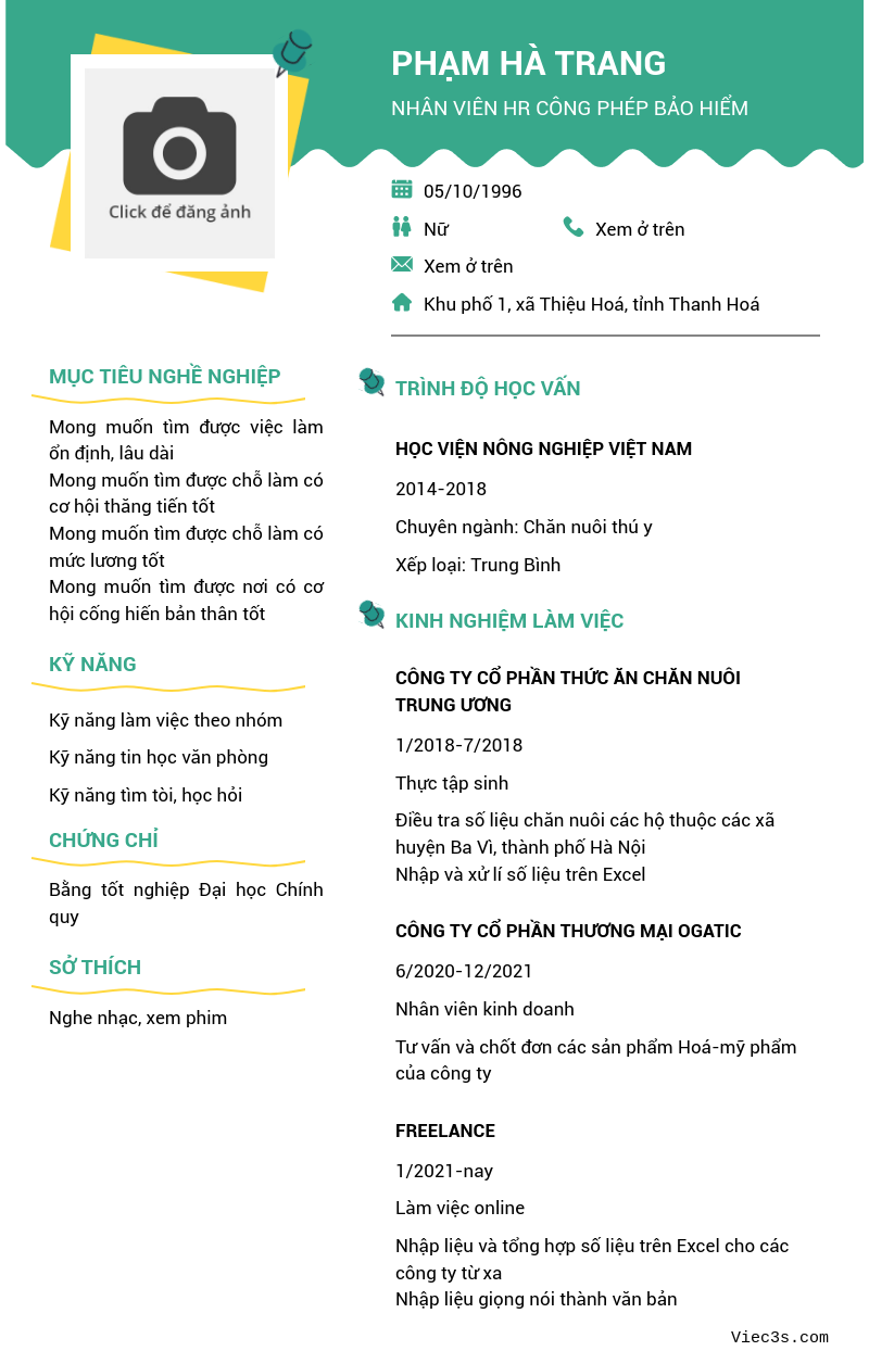 CV ứng viên