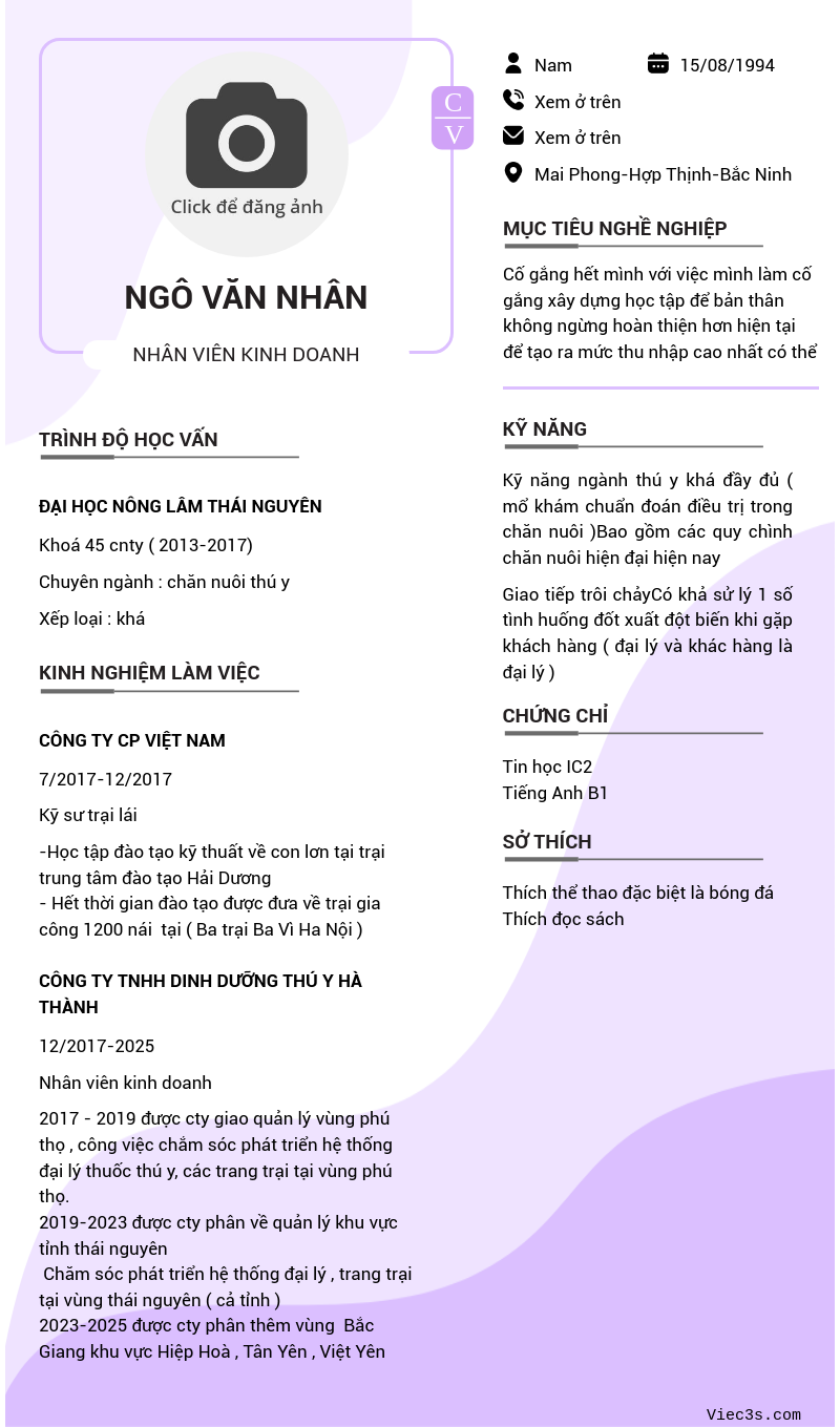 CV ứng viên