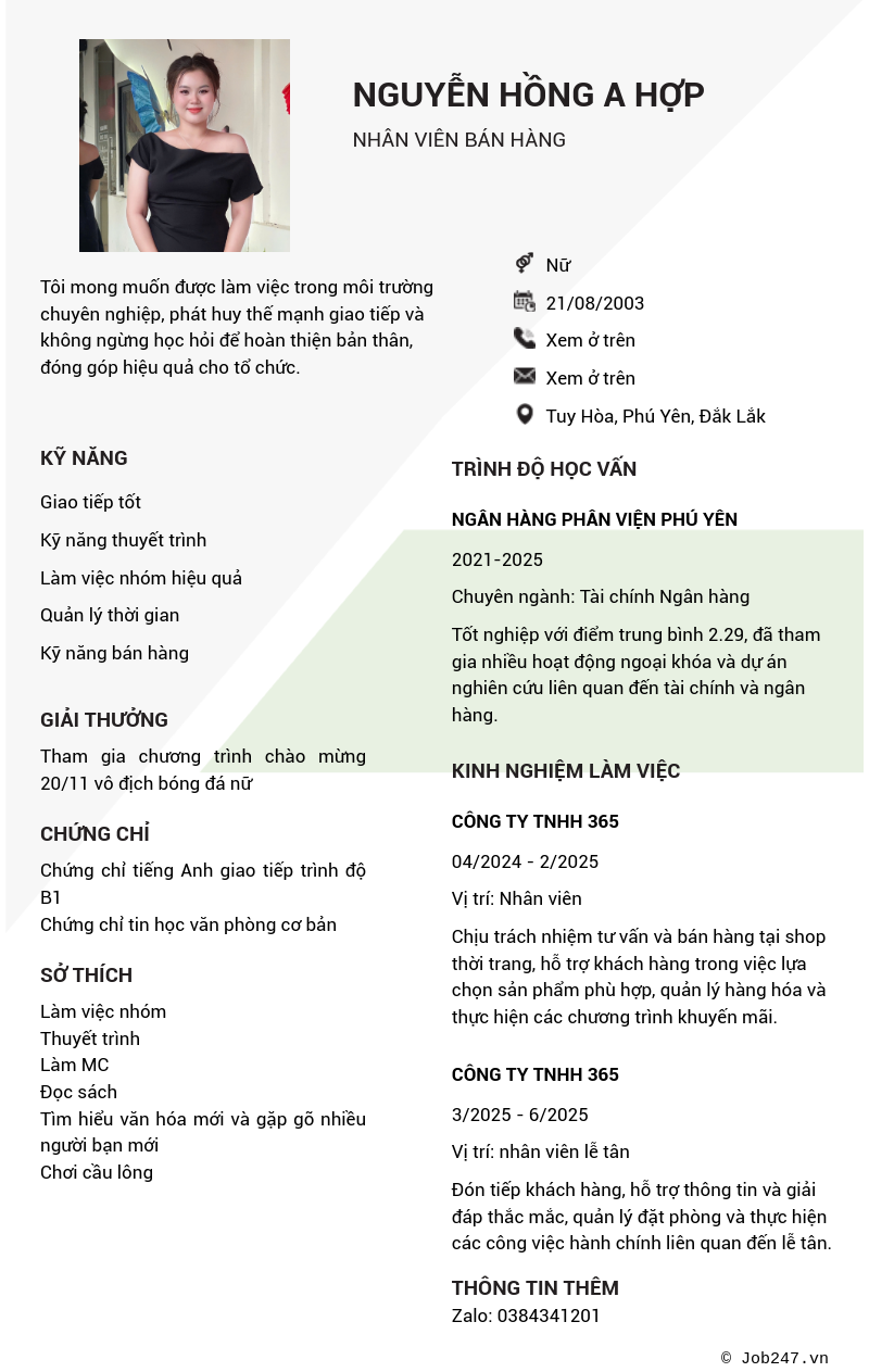 CV ứng viên
