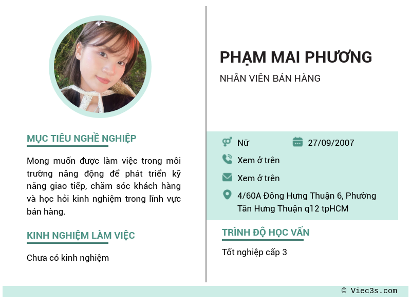 CV ứng viên