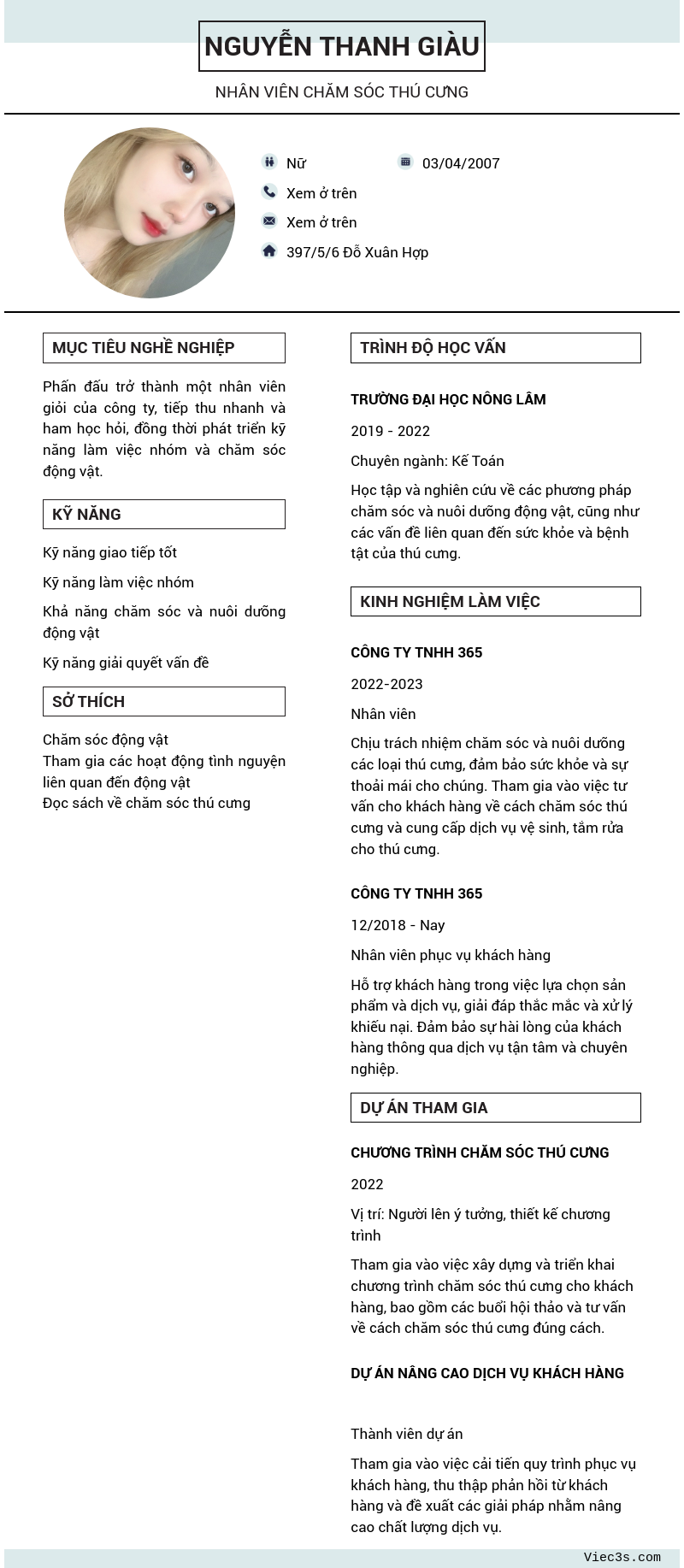 CV ứng viên