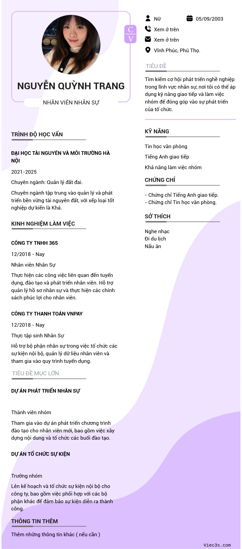 CV ứng viên