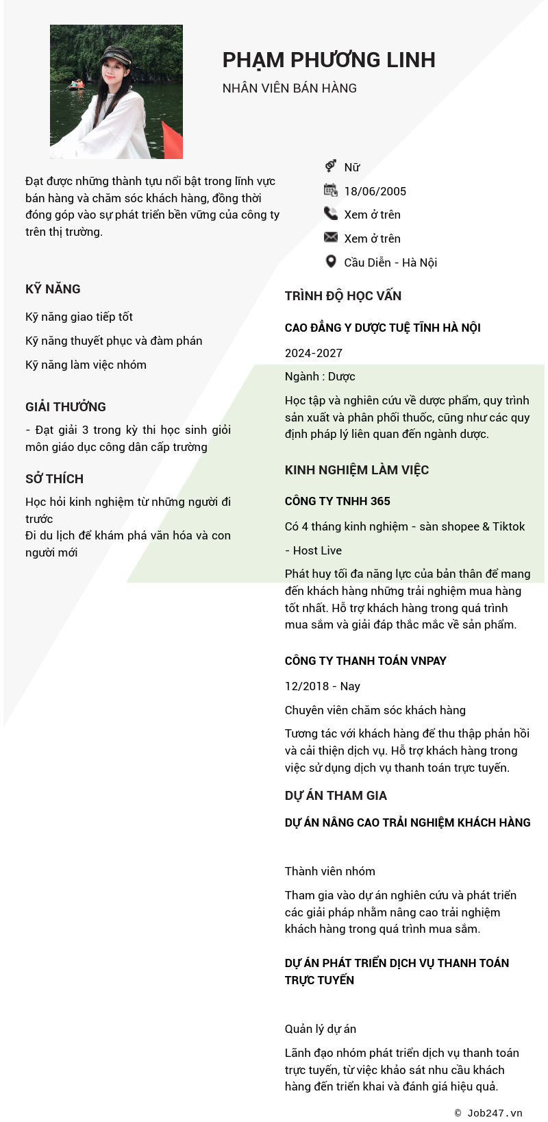 CV ứng viên
