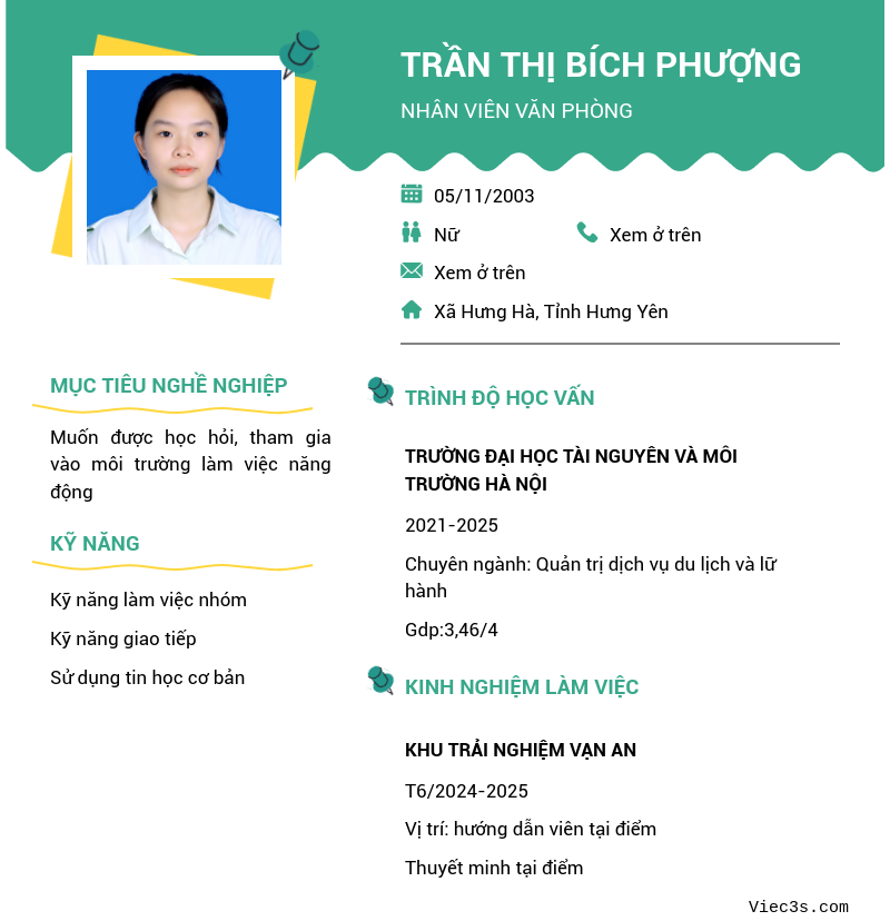 CV ứng viên
