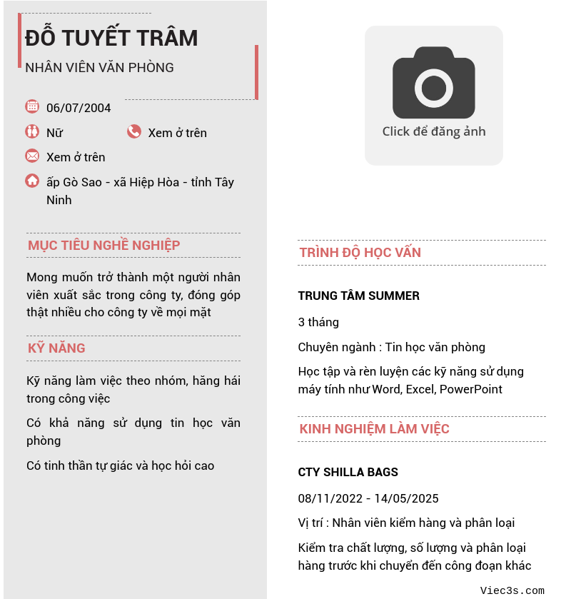 CV ứng viên