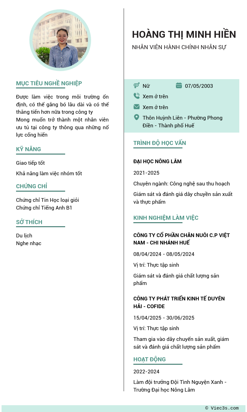 CV ứng viên