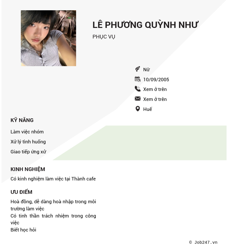 CV ứng viên