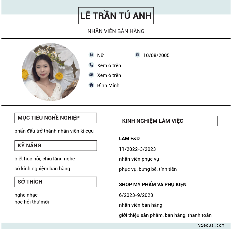 CV ứng viên