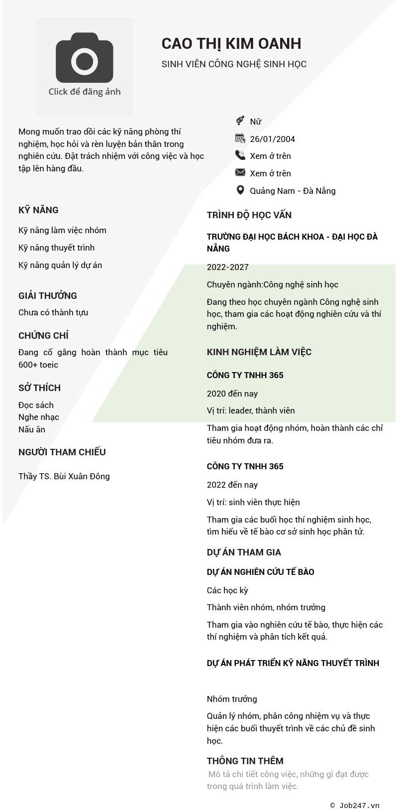 CV ứng viên