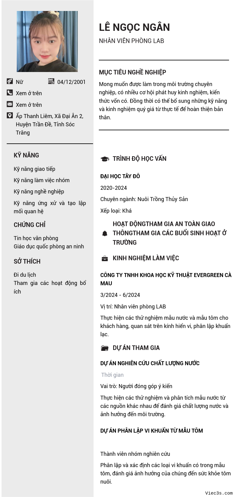 CV ứng viên
