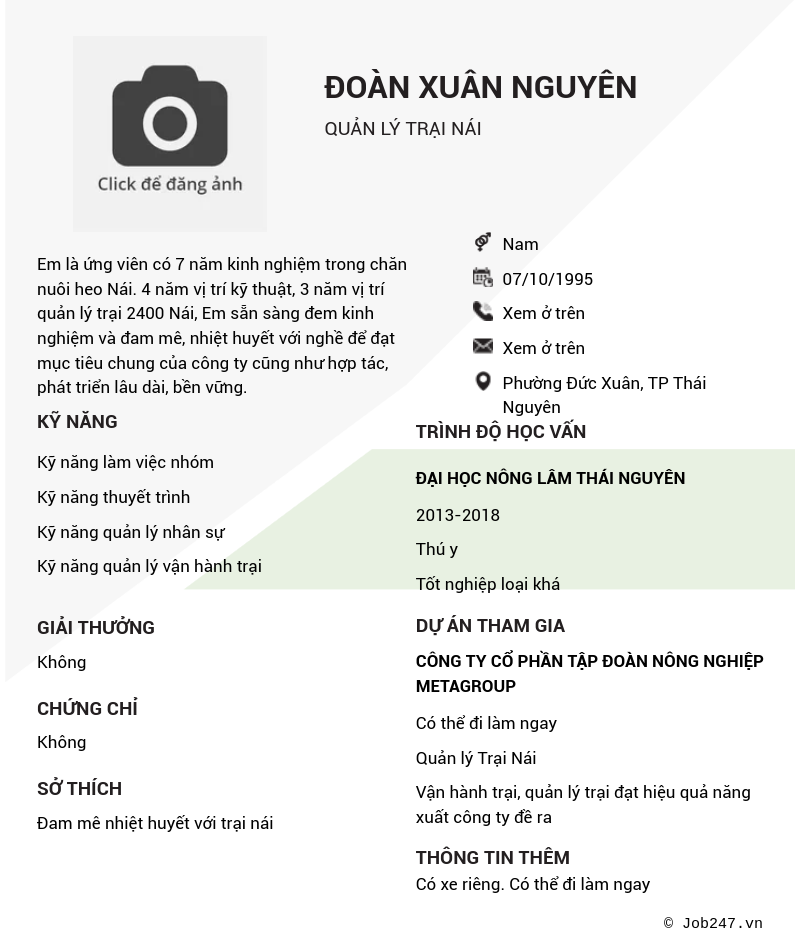 CV ứng viên