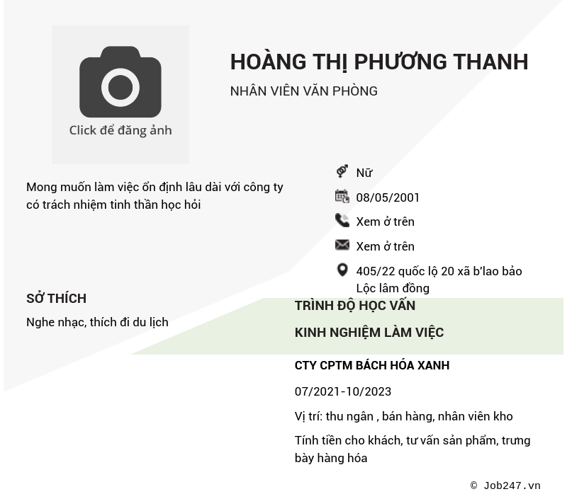 CV ứng viên