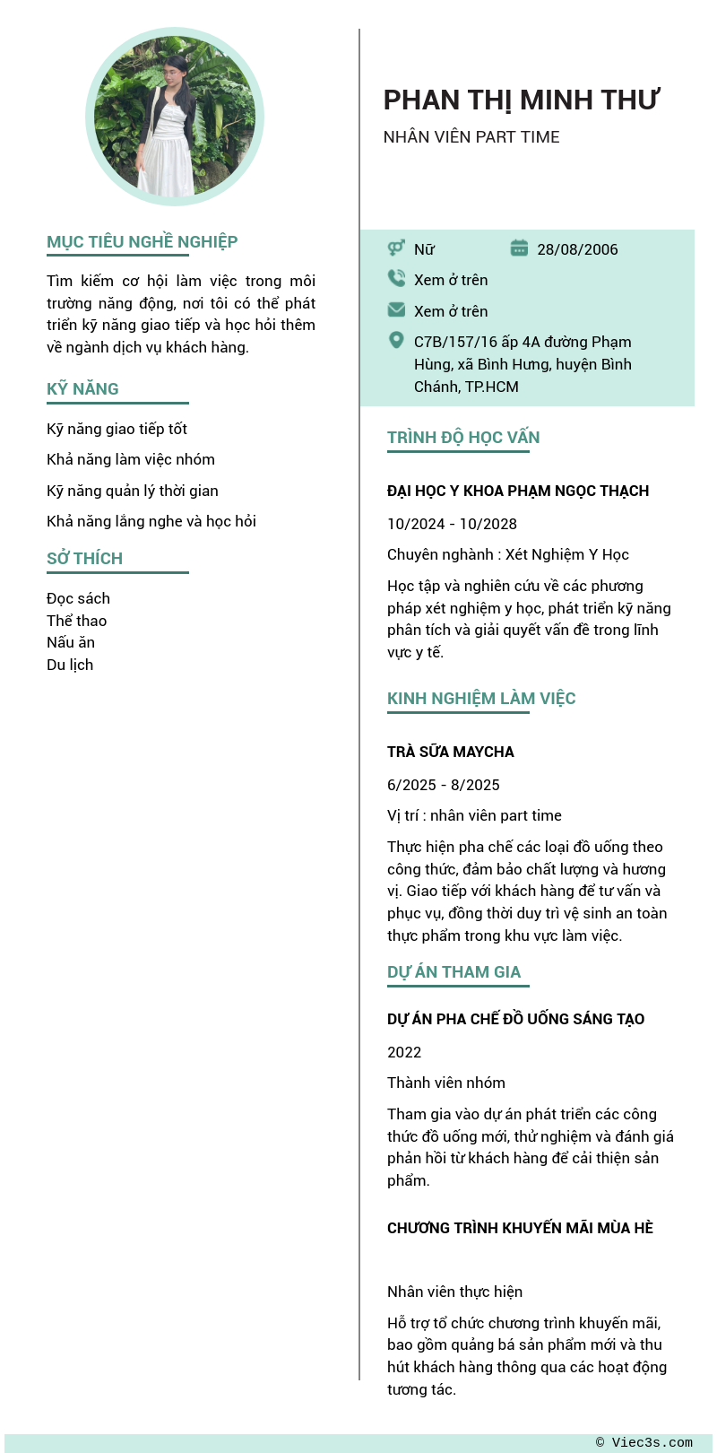 CV ứng viên