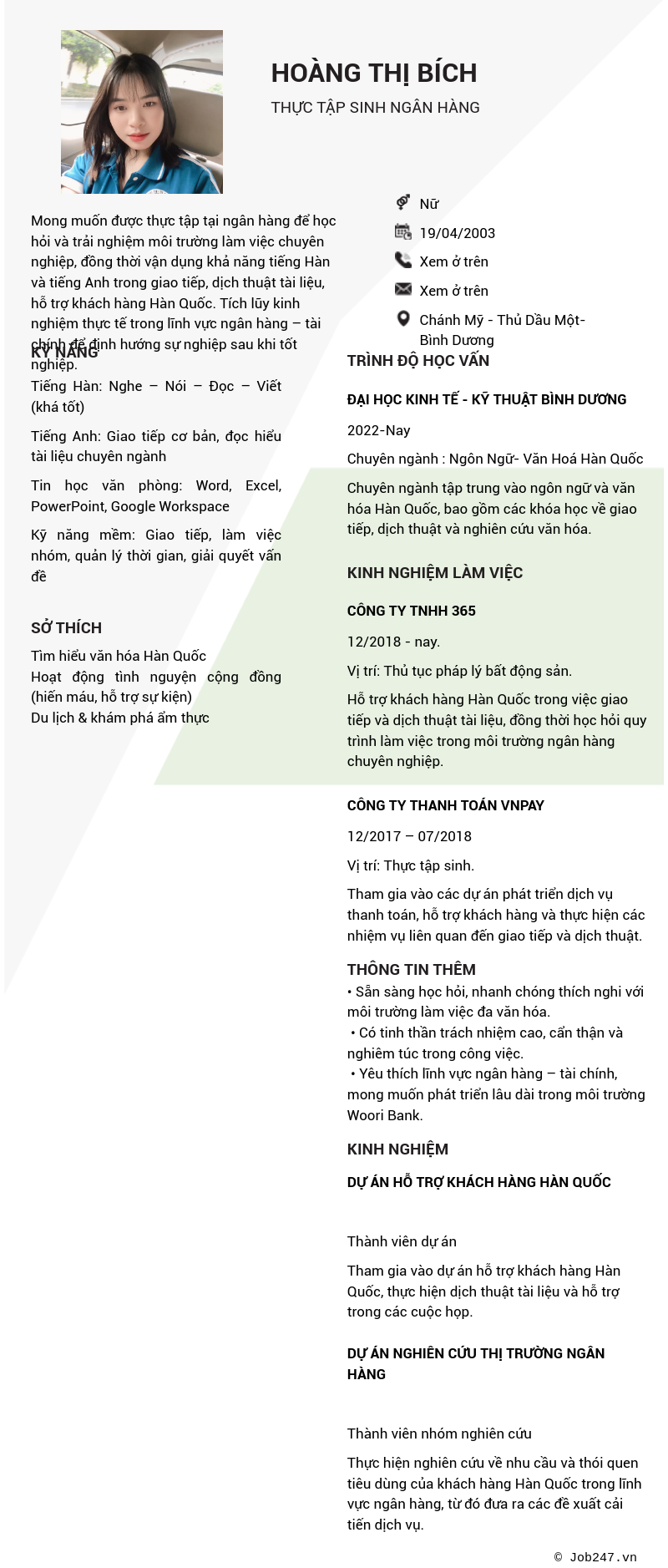 CV ứng viên