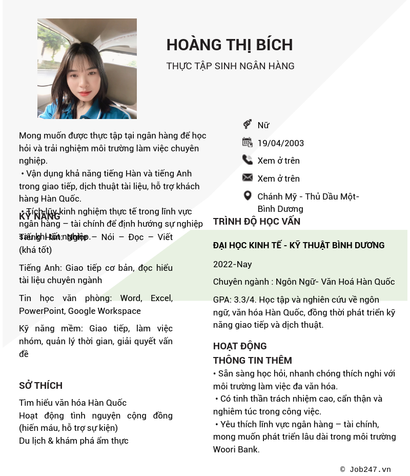 CV ứng viên