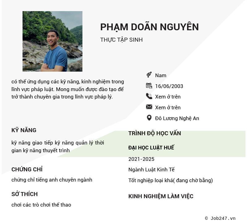CV ứng viên