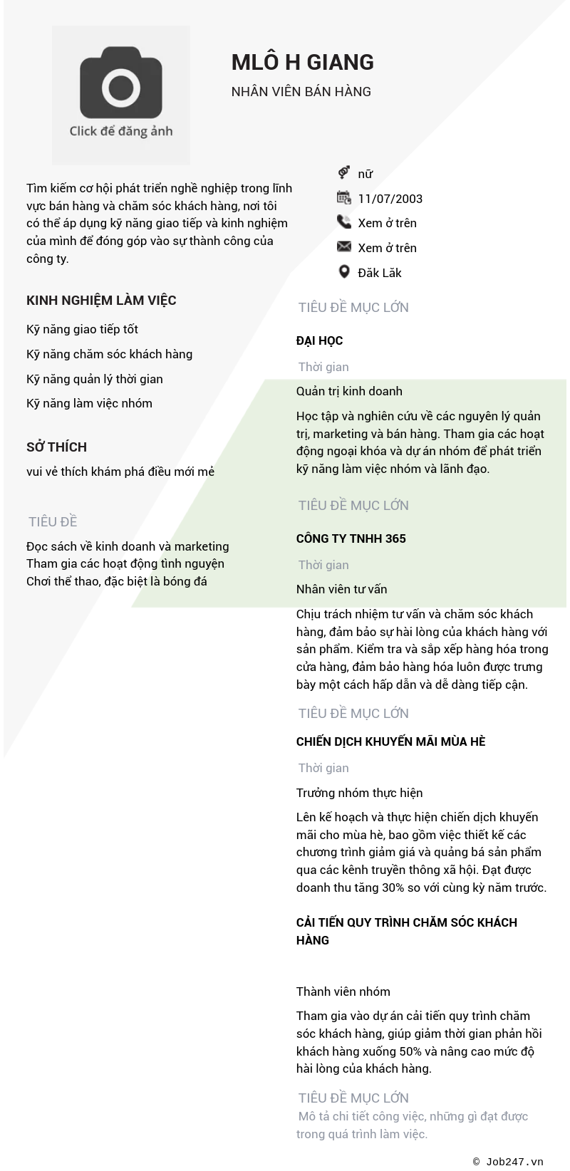 CV ứng viên