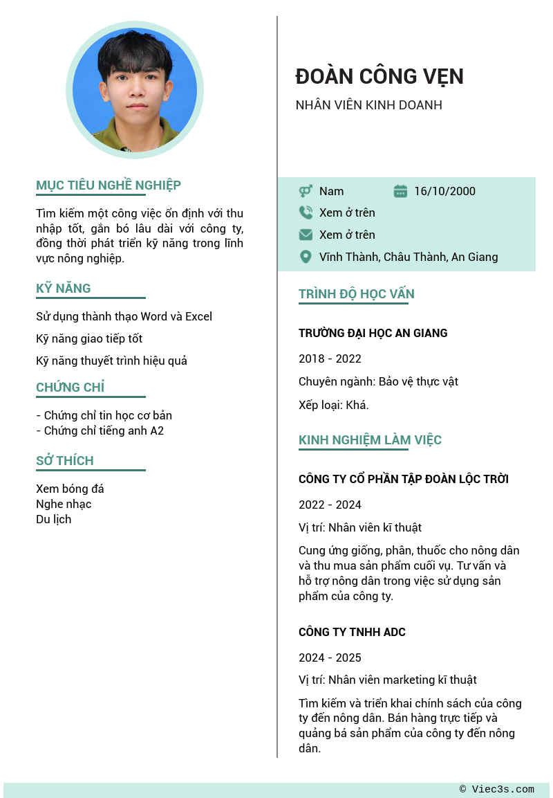 CV ứng viên