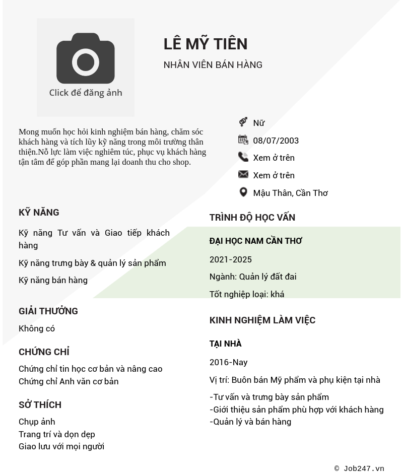 CV ứng viên