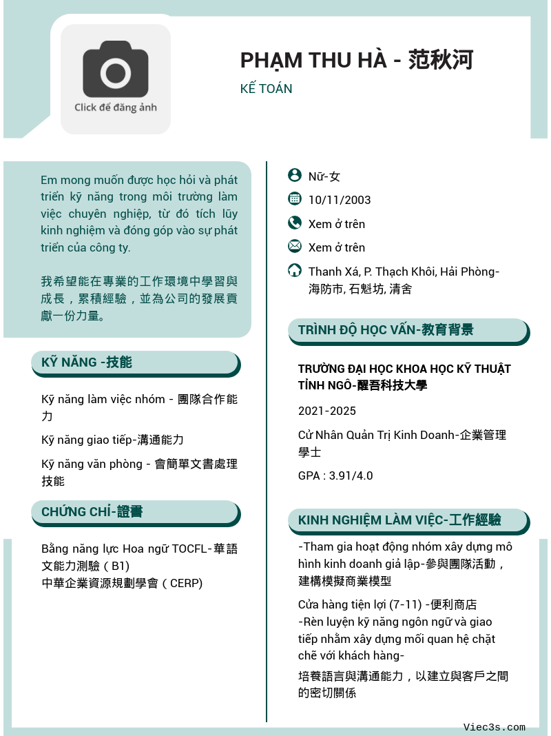 CV ứng viên