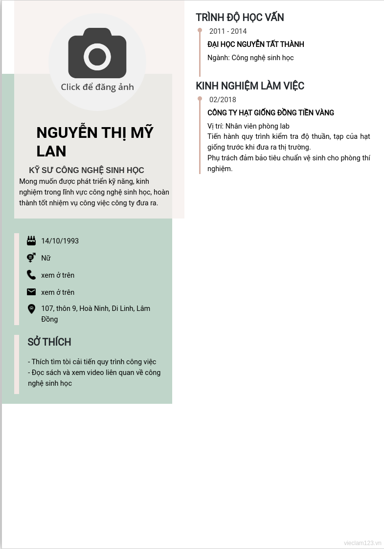 CV ứng viên