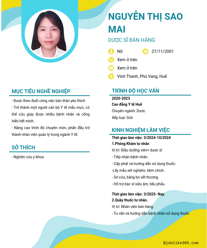 CV ứng viên