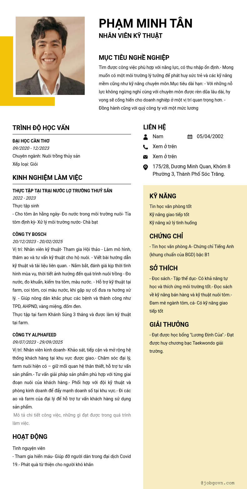 CV ứng viên