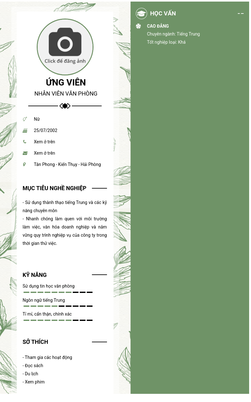 CV ứng viên