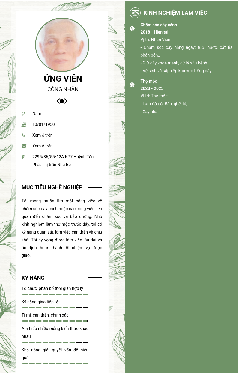 CV ứng viên