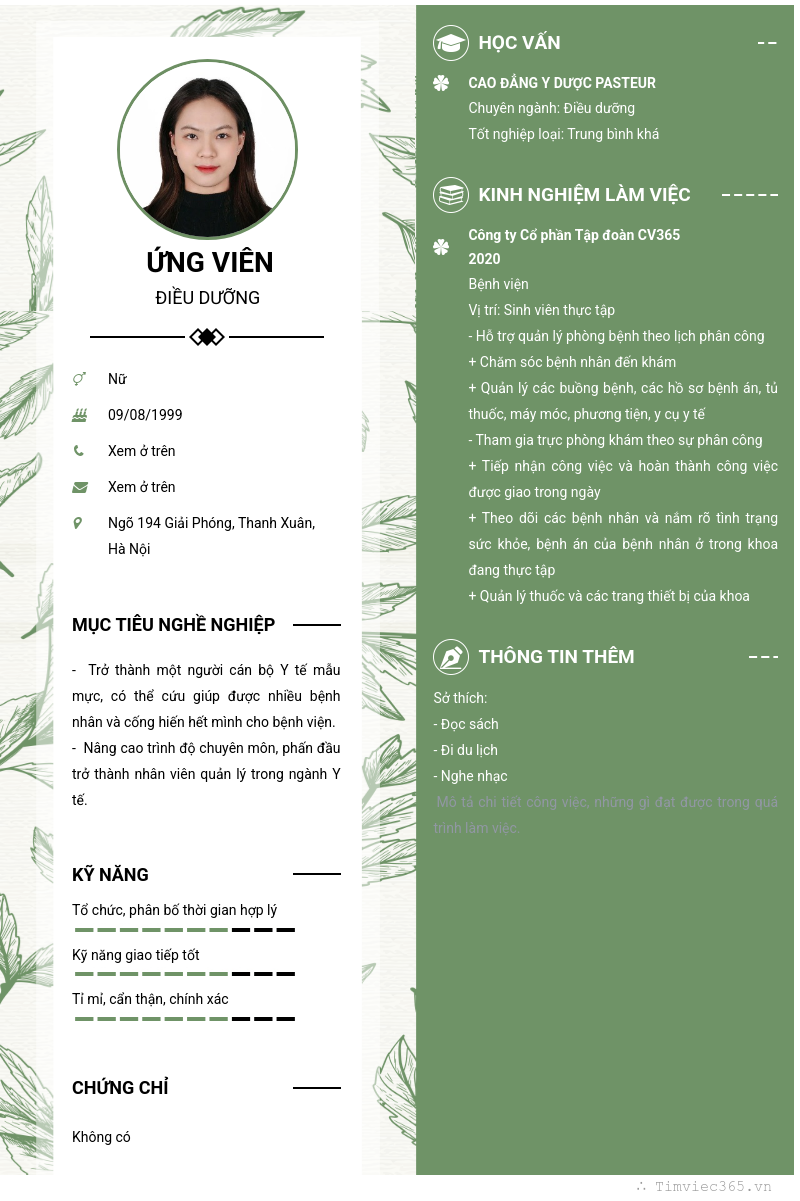 CV ứng viên