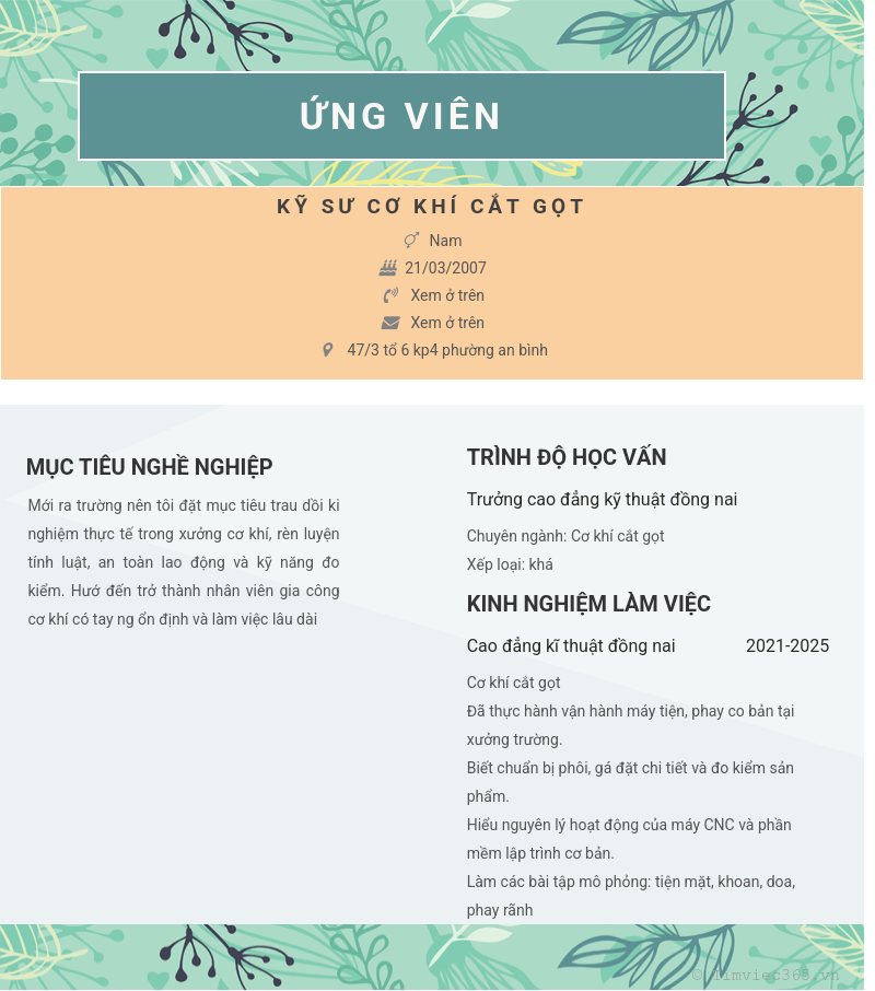 CV ứng viên